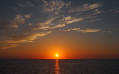 Review of Our Trips in 2017